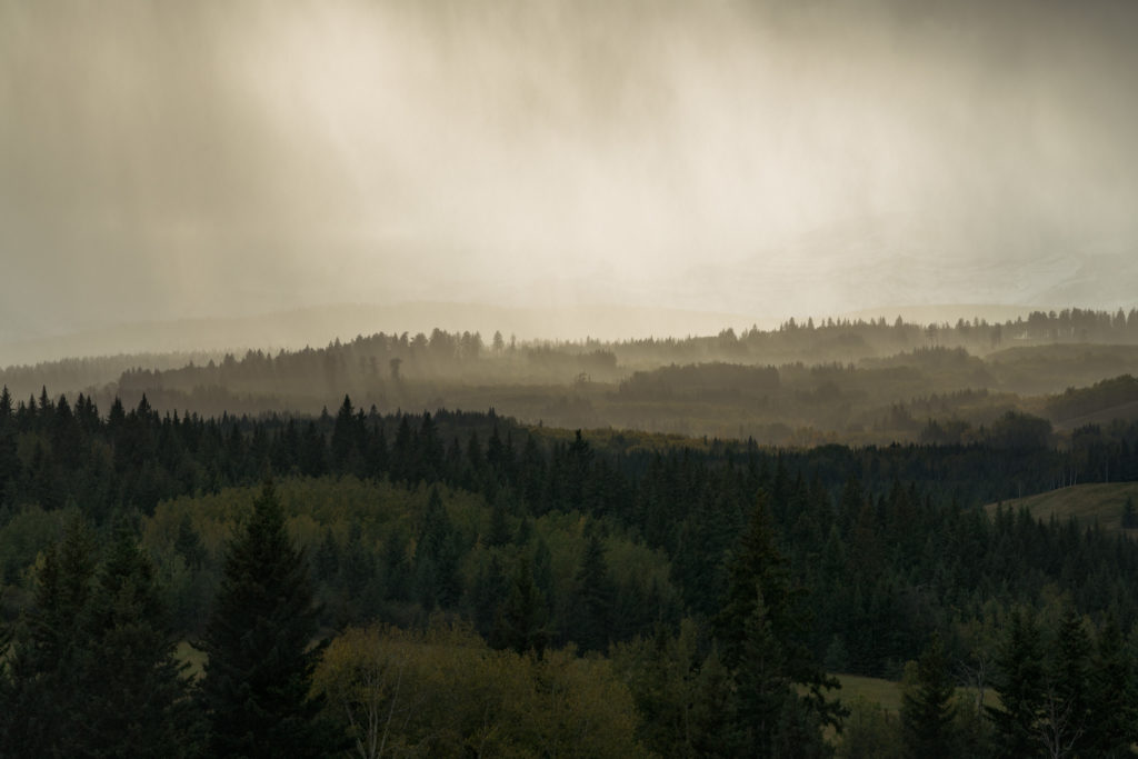 Forested slopes of the Rocky Mountain Foothills in Alberta